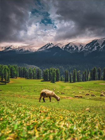 Kashmir Majesty: A 6-Day Journey Through Paradise